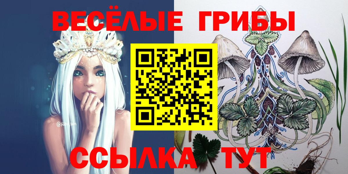 Псилоцибиновые грибы Psilocybe Сургут