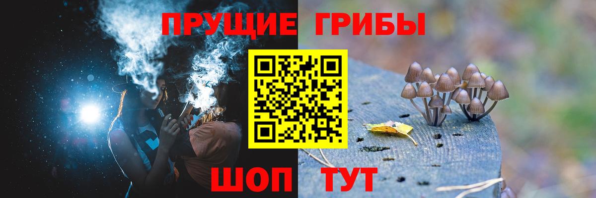 наркотики  Галлюциногенные грибы Psilocybine cubensis  Вход с VPN  Сургут  Псилоцибиновые грибы ЛСД 