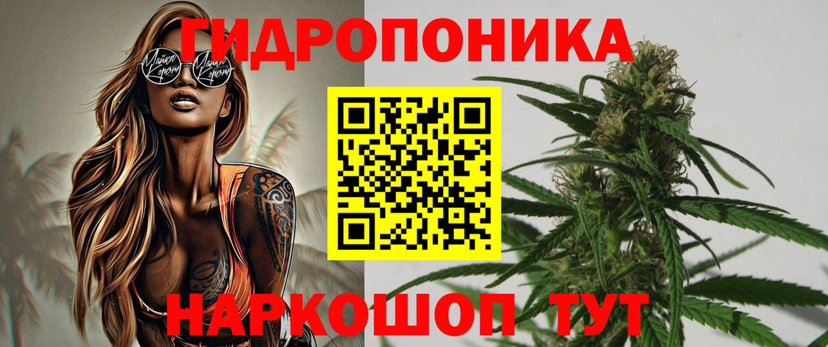 Канабис OG Kush  МАРИХУАНА конопля  Вход с VPN  Сургут  Канабис марихуана 